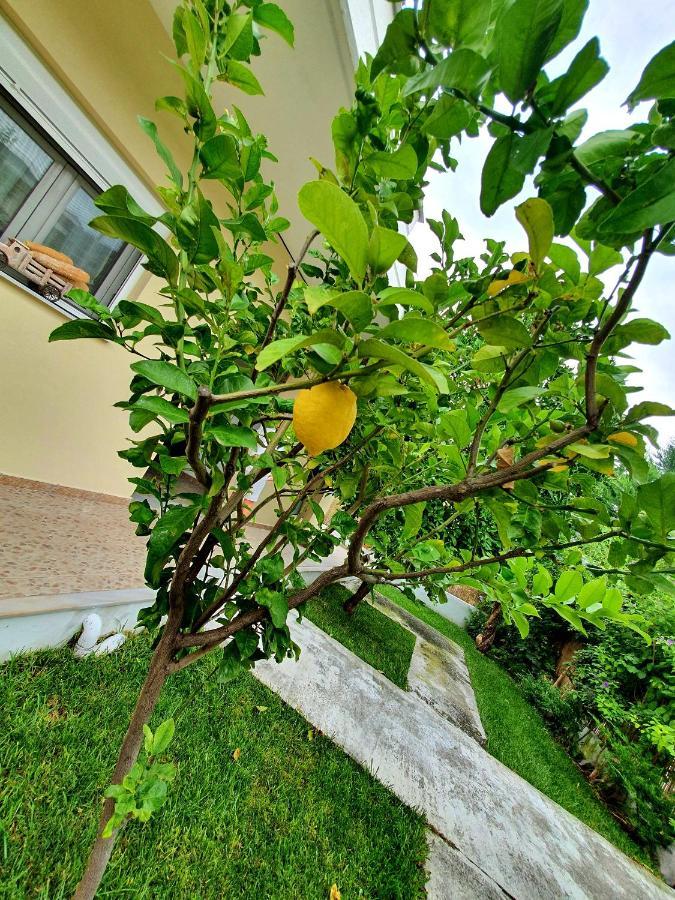 Apartamenty Rodzinne 카메나불라 외부 사진